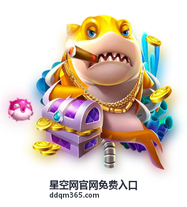 星空网免费入口指南封面